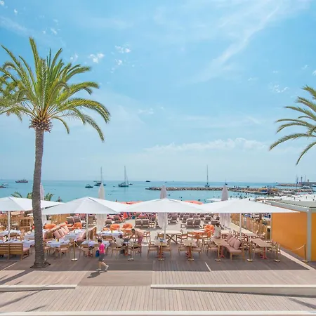 Etoile De Mer - Agreable Studio - Front De Mer - Apartment
